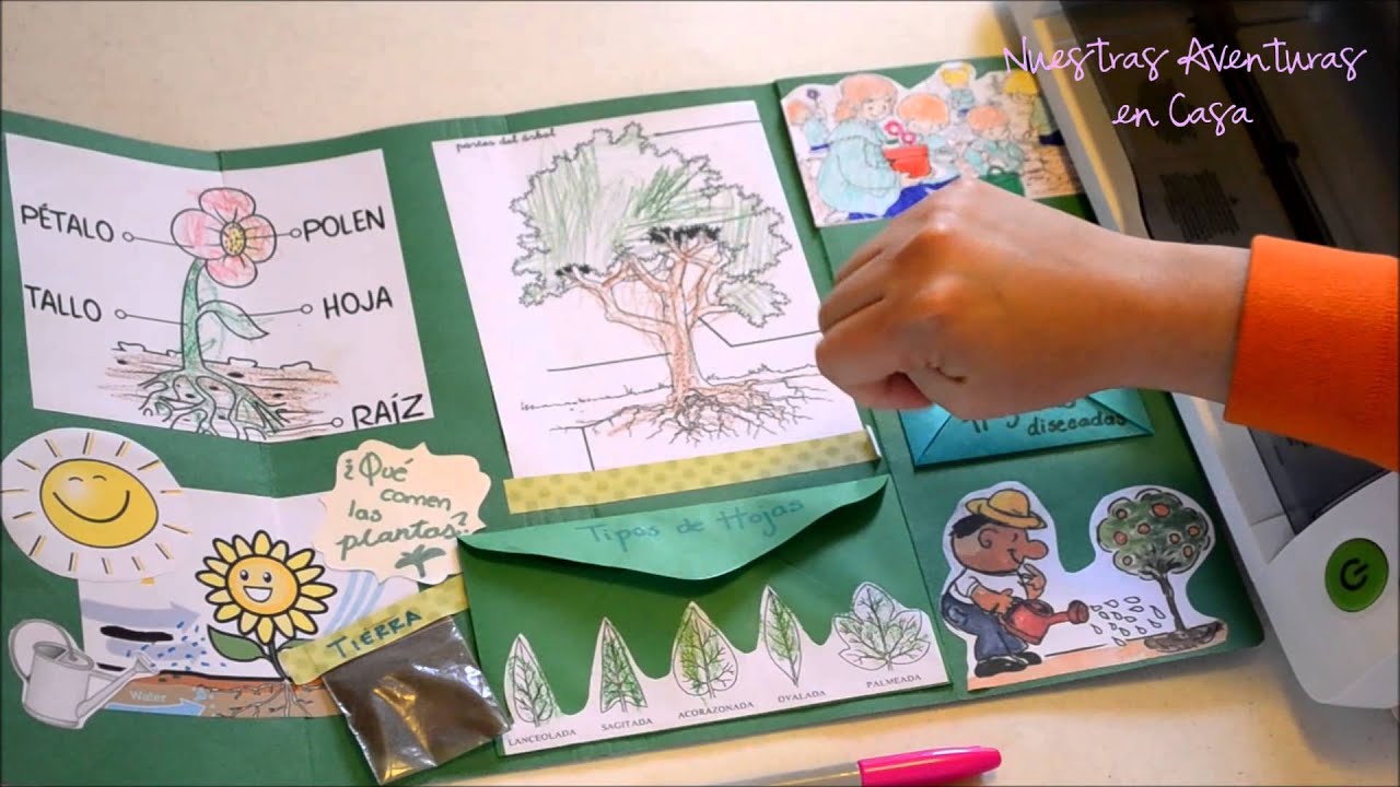 Lapbook Las Plantas