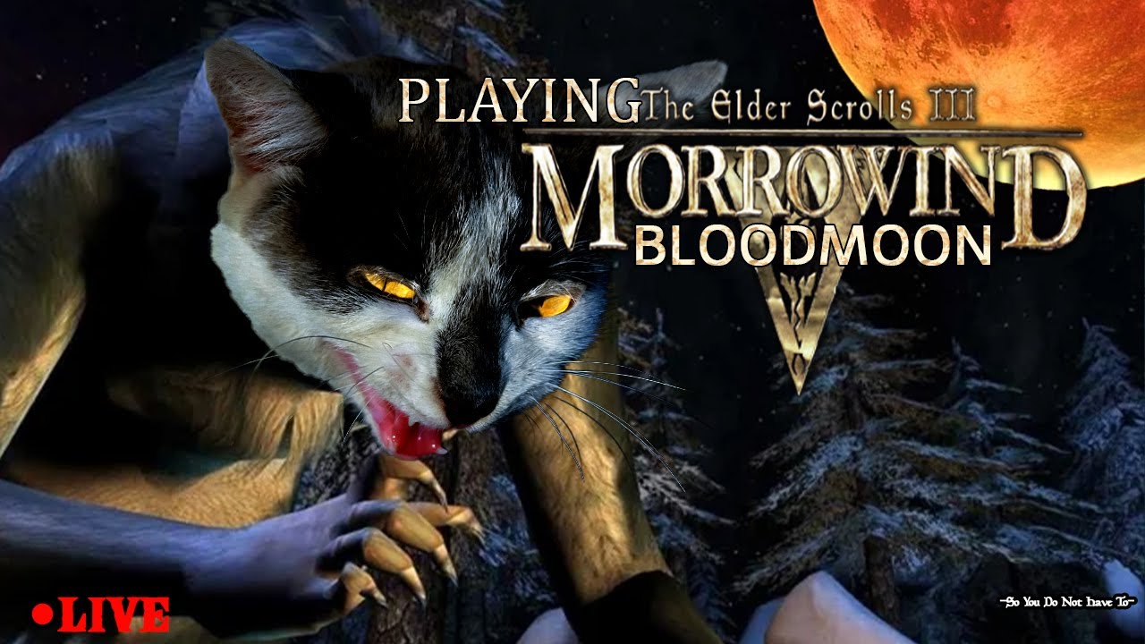 A Khajiit crashes the Cyrodiil economy |Morrowind Bloodmoon | Skooma Quest