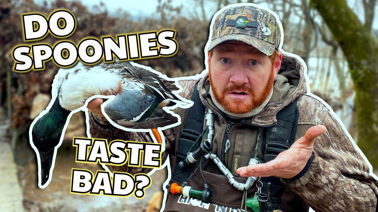 Which Ducks Taste Best? Cooking Duck and Goose