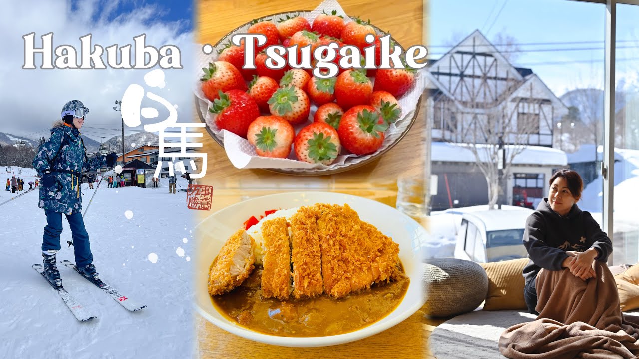 HAKUBA TSUGAIKE (Часть 1) 7D6N Снежное путешествие по Японии ✈️ Арендовал этот потрясающий дом с ...