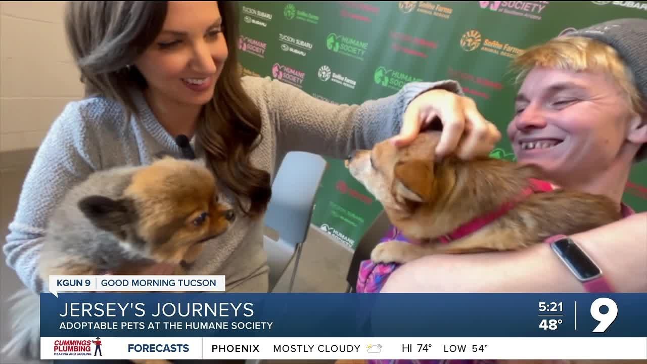 Jersey's Journeys