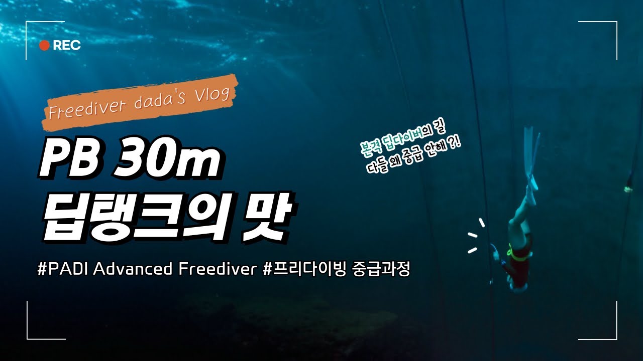 다들 중급 왜 안해..? 새로운 신세계 프리다이빙 중급과정! 딥탱크.. 아니 딥다이버로 가는 길 ☆