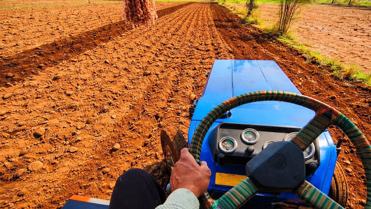Swaraj Tractor POV Field Work | Real Farming Action ASMR 4K 🚜🌾