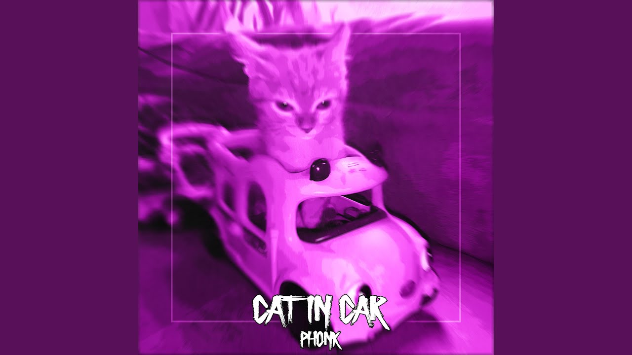 CAT IN CAR PHONK