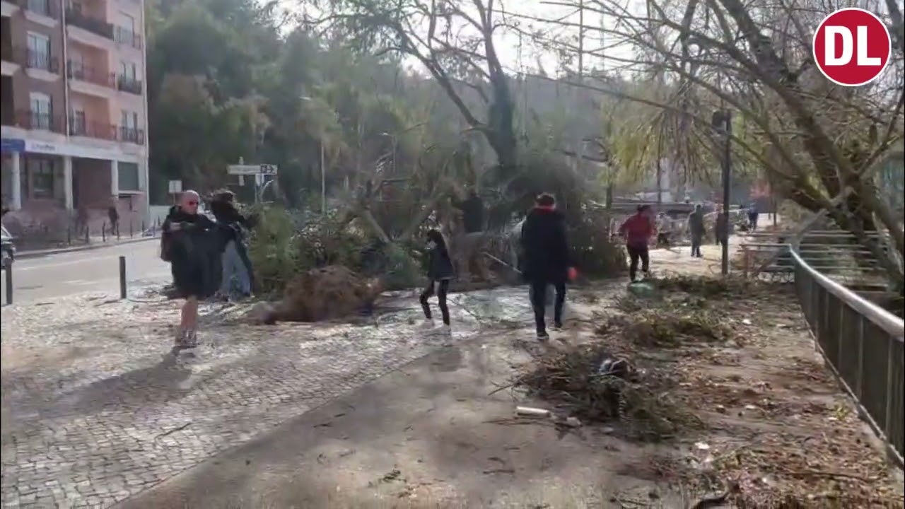 Limpeza do espaço público de Leiria