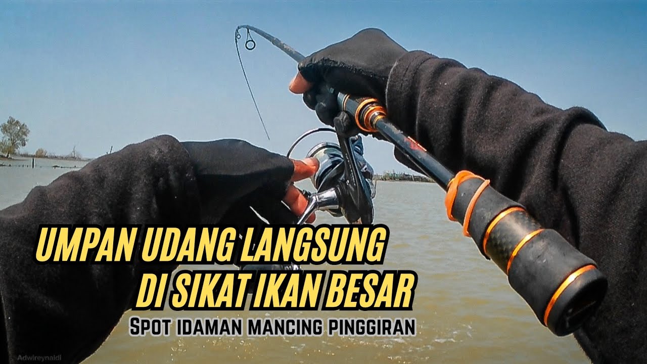 BERUNTUNG SEKALI‼️ NEMU SPOT TERSEMBUNYI DI PELABUHAN KENDAL