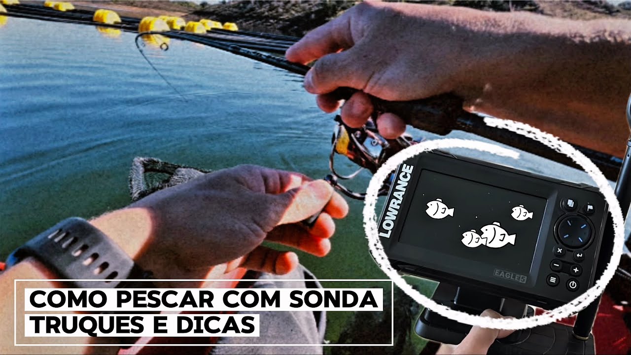Como PESCAR com SONDA aos ACHIGÃS 🎣 Truques e Dicas 😉