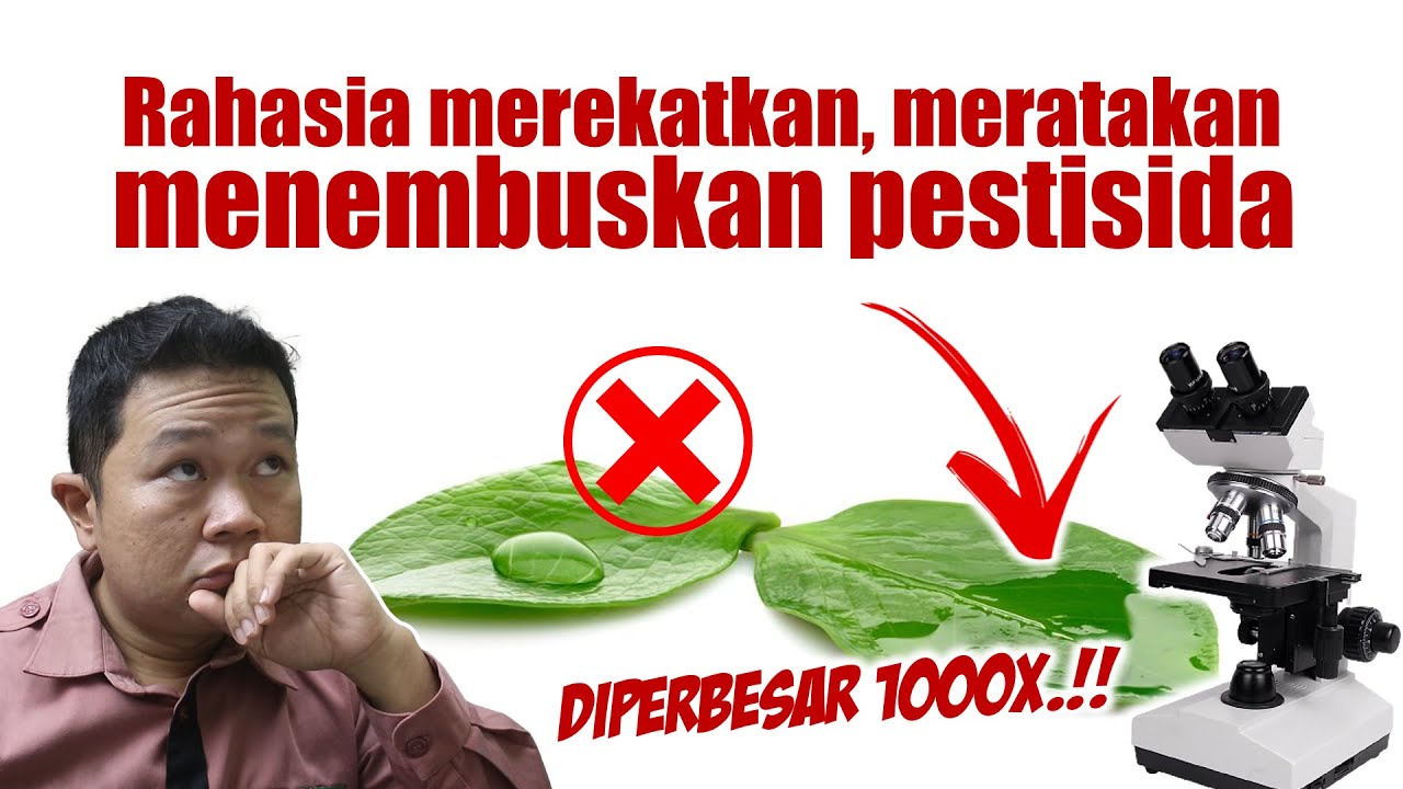RAHASIA MEREKATKAN, MERATAKAN DAN MENEMBUSKAN PESTISIDA