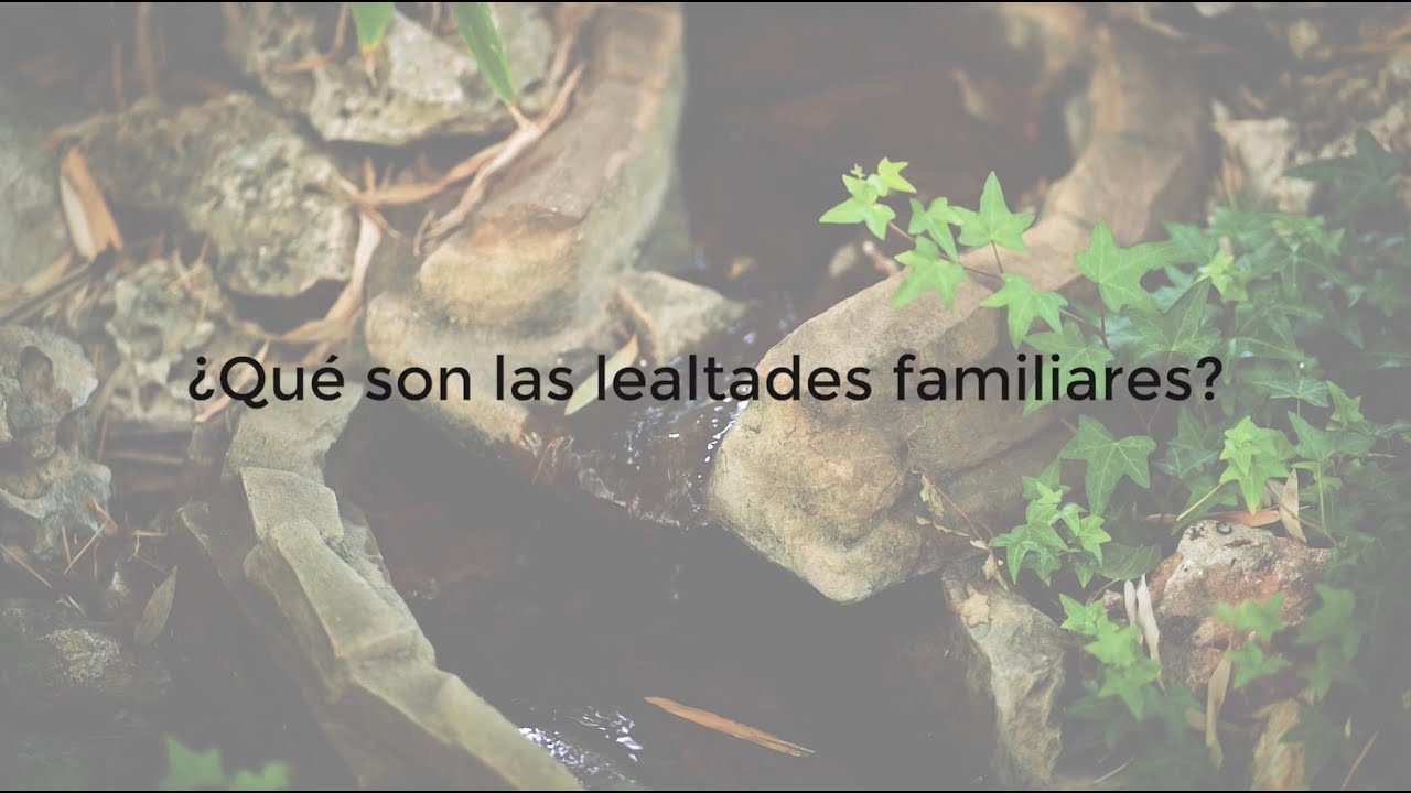 &iquest;Qu&eacute; son las lealtades familiares?