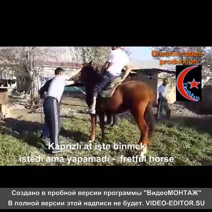 &Ouml;zbek kazıkları - Uzbek fun kicks
