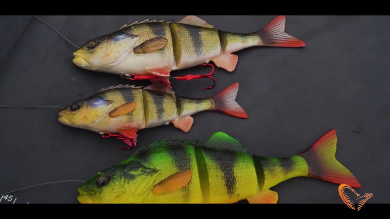 Savage Gear 4D Line Thru Perch introduction