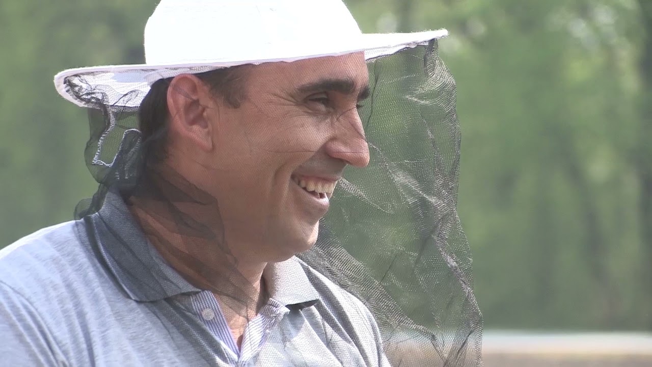 Boja meda ep. 198 21.12.2021. LR košnica, starosna struktura, zimsko mirovanje