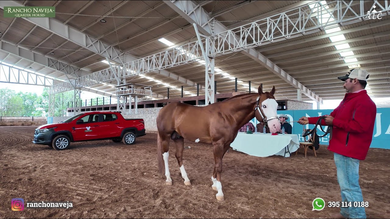 Visita a Rancho Naveja en La Unión de San Antonio, Jalisco - SEMENTALES
