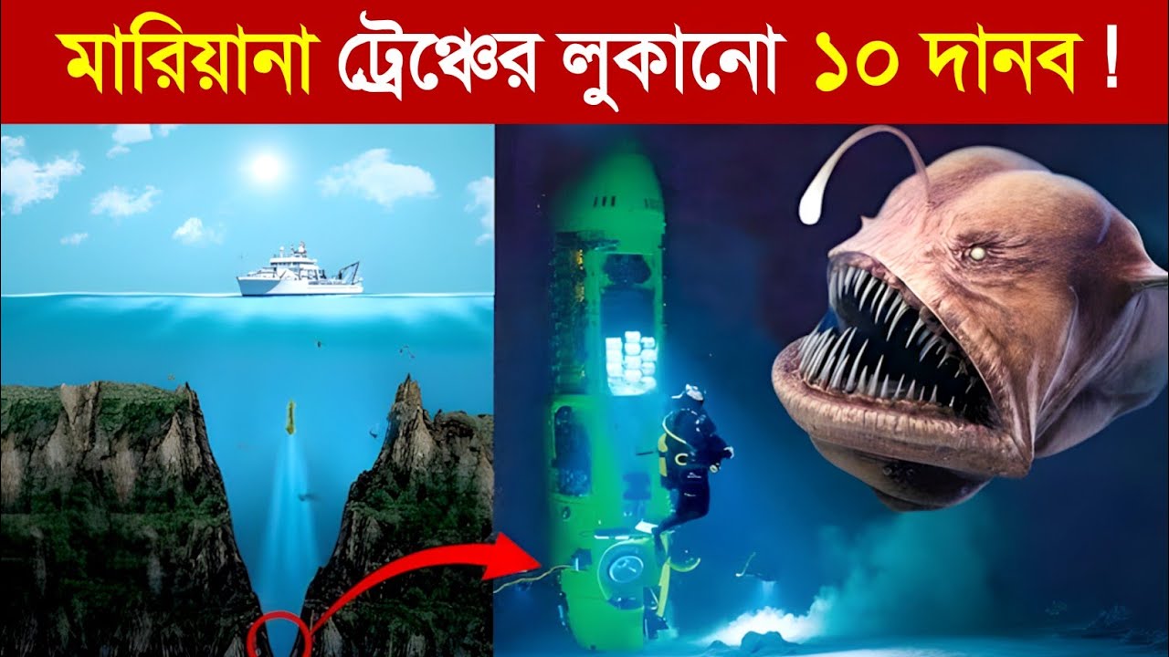 মারিয়ানা ট্রেঞ্চের ভয়ঙ্কর দানব..! 😱 || Mysterious Creatures Found in Mariana Trench