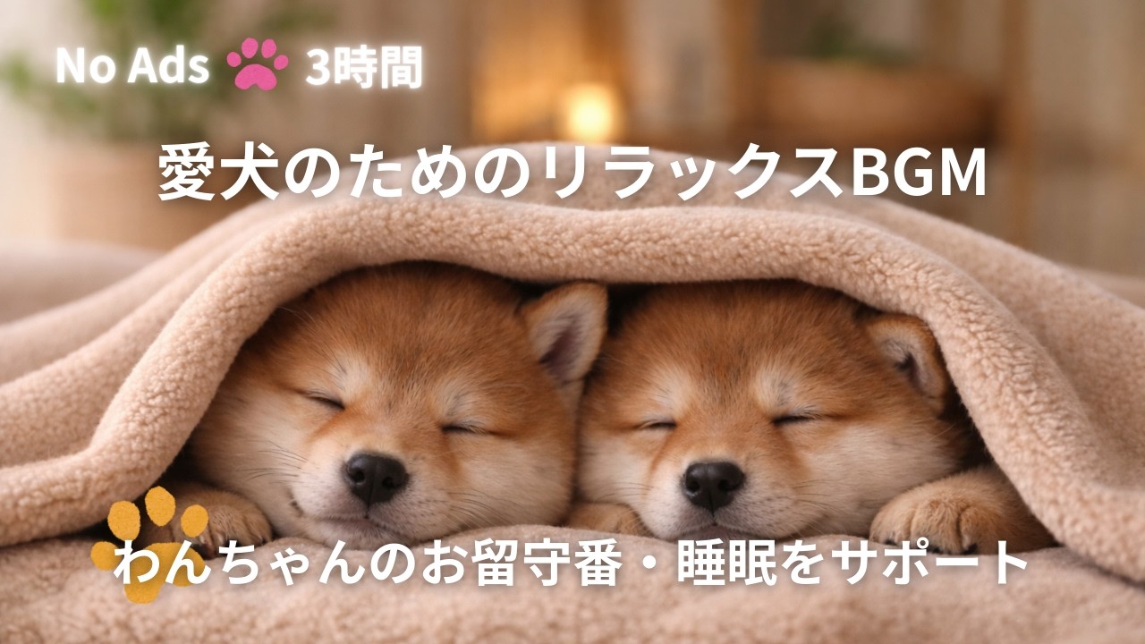 🐾お留守番の愛犬も安心！犬が落ち着くリラックス音楽🐾途中広告なし / 3時間BGM / お留守番 / 雷対策 / 不安分離解消
