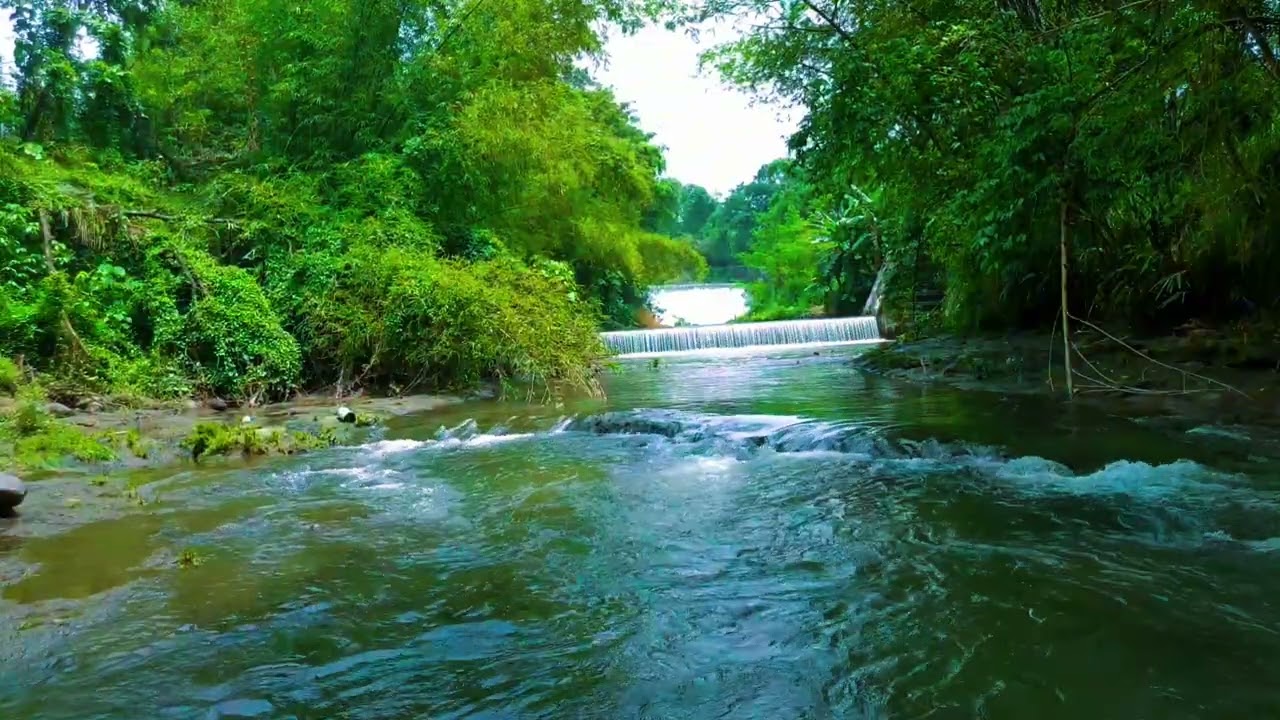 Deep Sleep River ASMR 💧 1 Hour Natural White Noise for Insomnia & Anxiety Relief