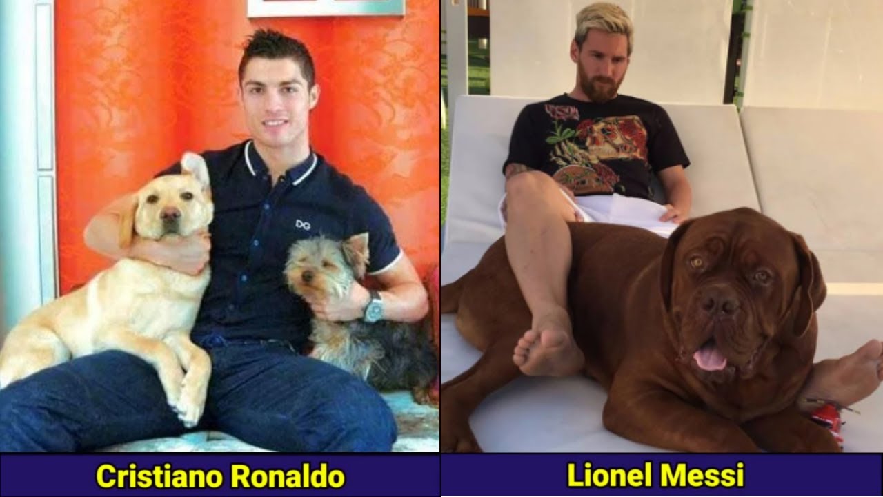 Famous Footballers And Their Dogs ft Messi, Ronaldo, Neymar, Ibrahimovic, Hakimi, Van Dijk