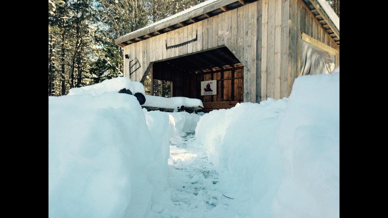La cabane du moulin Février 2021