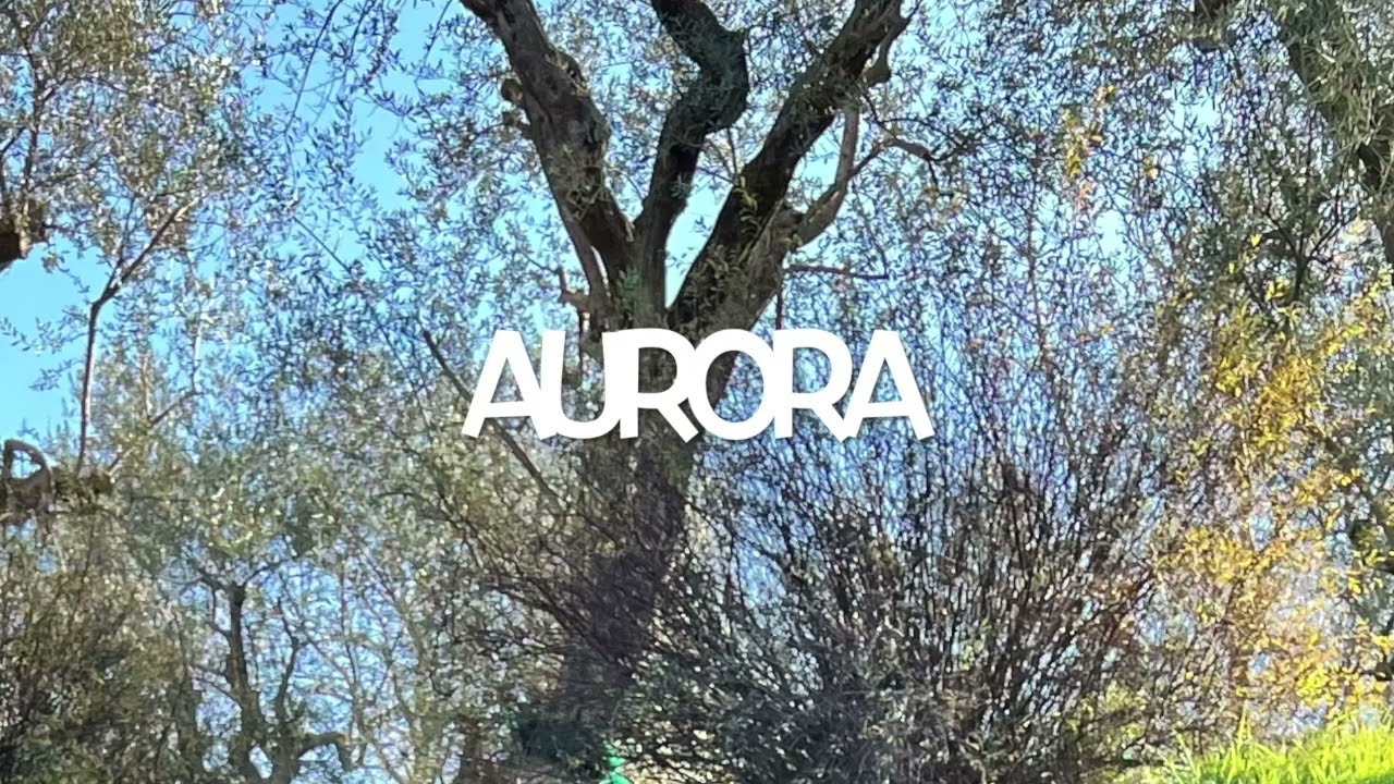 Aurora DJ Atom 2