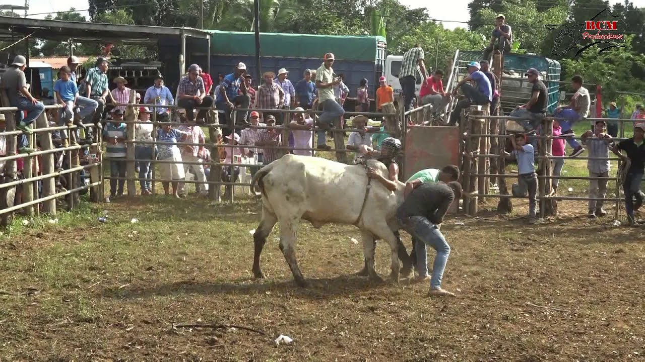 TOROS en el Jardín El Recreo en Llano de Piedra  1 Septiembre  2019