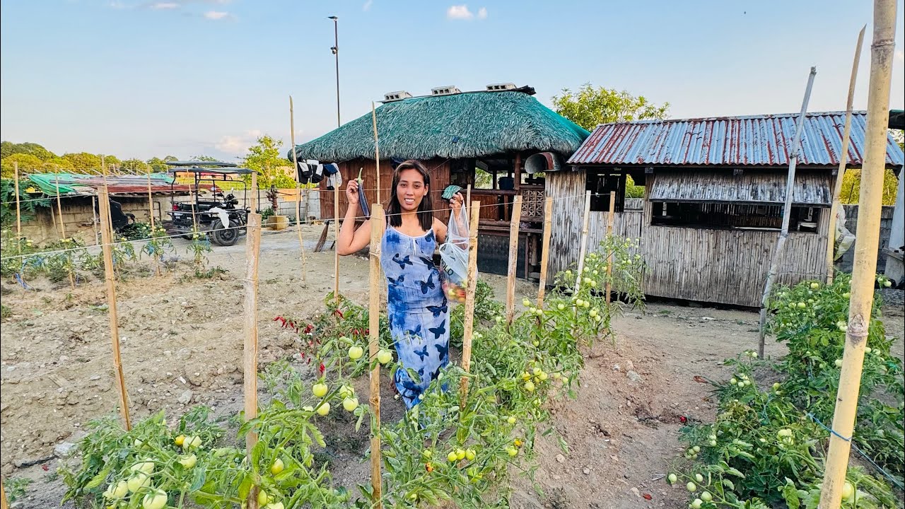 BIBISITA TAYO SA ISA PA NATING KUBO | @rangail1684 
