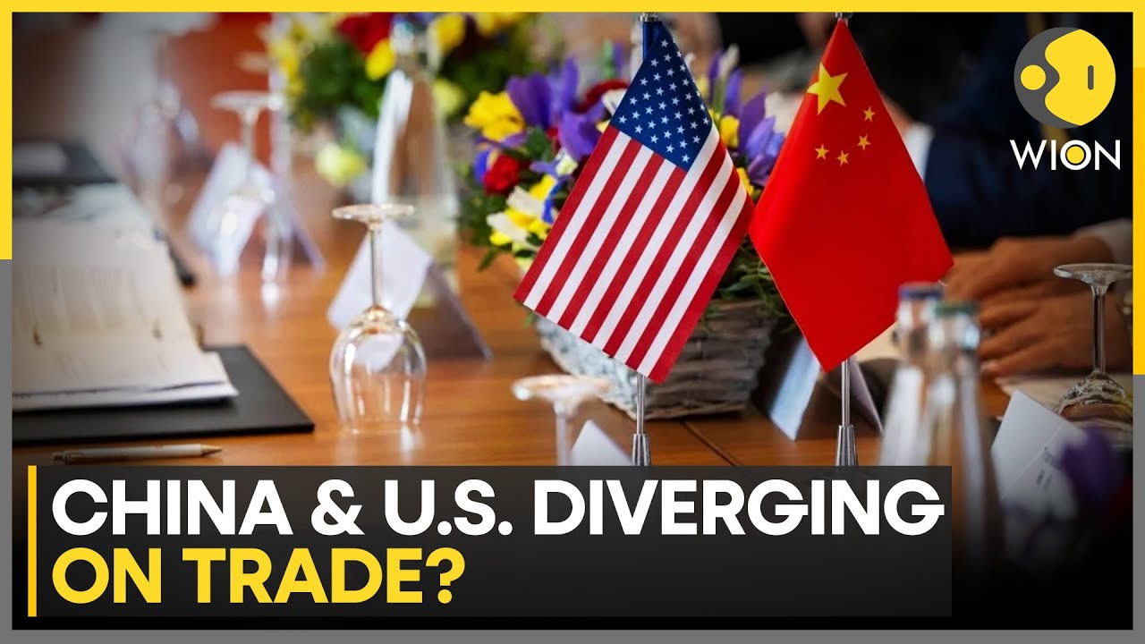 China's 2025 Trade Surplus Equivalent to Some Top Economies | WION NEWS