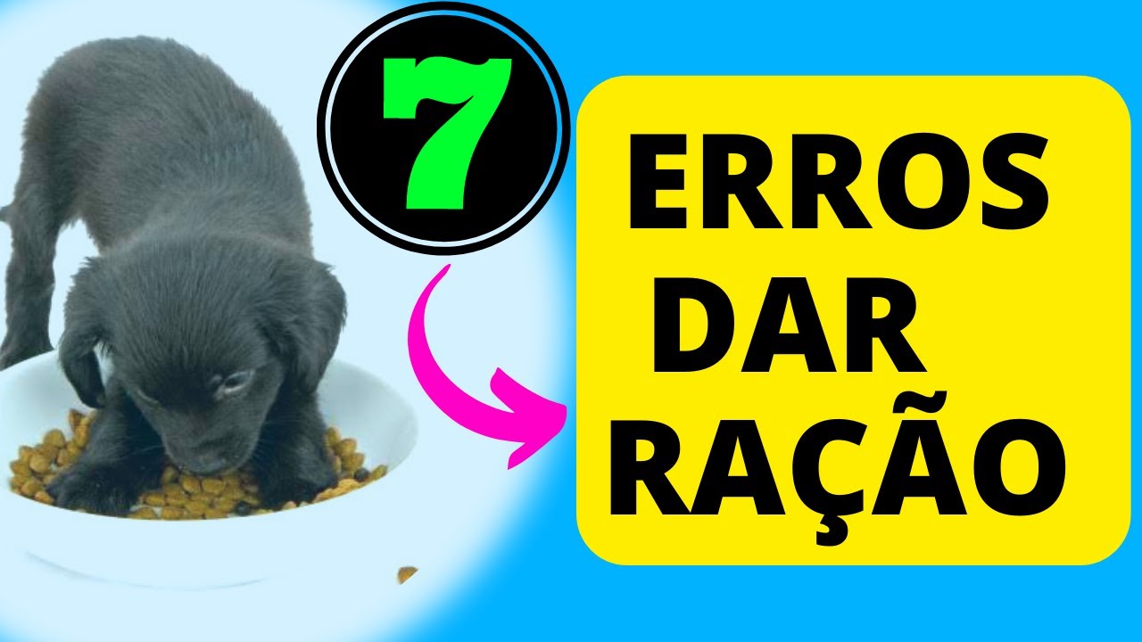 7 ERROS AO DAR RAÇÃO para filhote! | Dicas filhotes cachorro