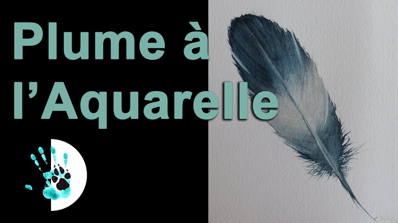 Plume à l'Aquarelle