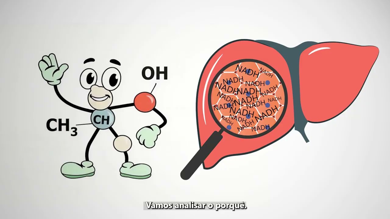 Metabolismo do álcool e suas implicações hepáticas.