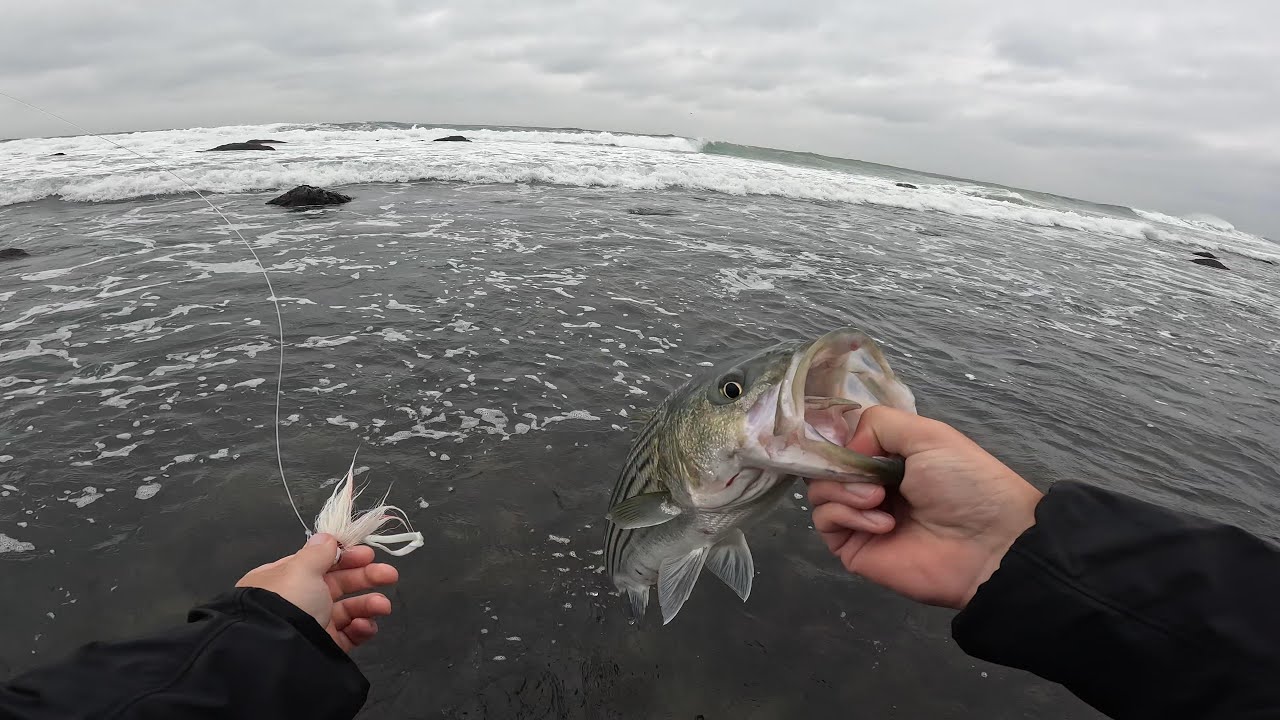 An Intro to the 2023 Fall Run: Fishing the Montauk White Water for Striped Bass