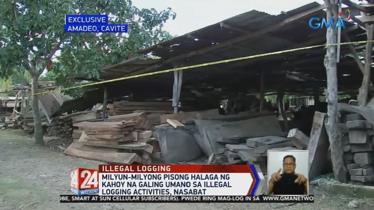 24 Oras: Milyun-milyong pisong halaga ng kahoy na galing umano sa illegal logging activities...