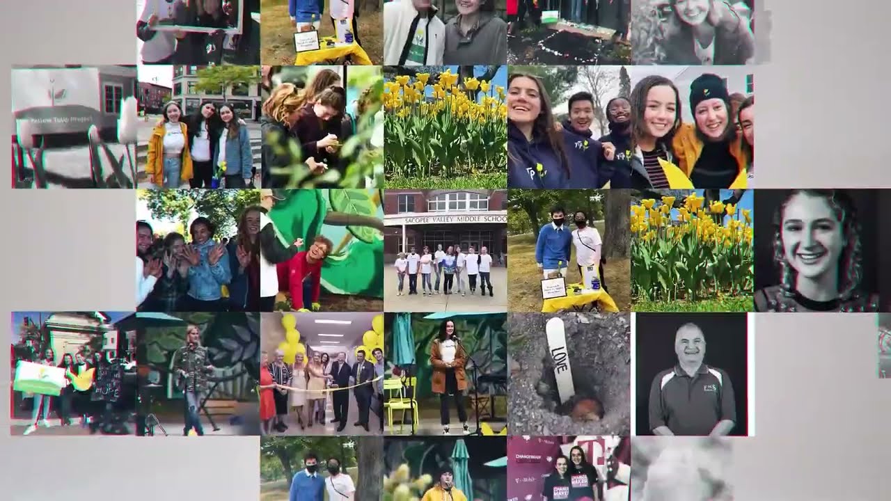 The Yellow Tulip Project (YTP): Our Story, Our Impact, Our Future
