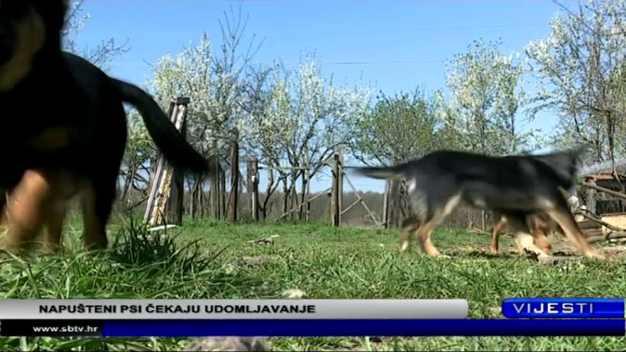 SBtv Vijesti 1230 - 29.03.2017.