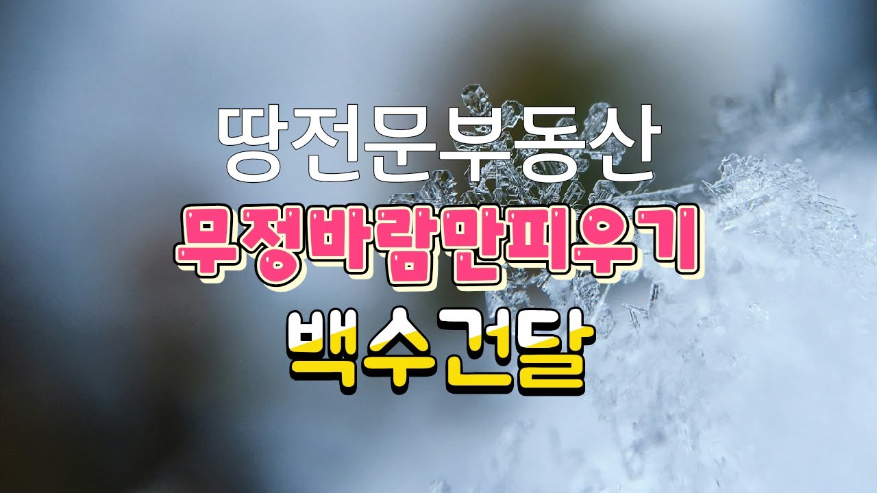 작명사주1001강  지나친편협으로 고집자존심으로망친사주보고   땅장사 아니면 백수건달된다니