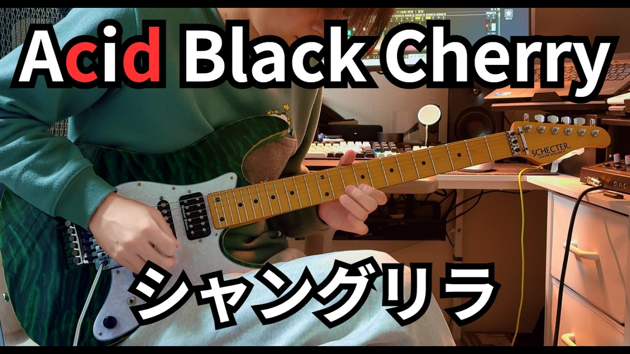シャングリラ/Acid Black Cherry GuitarCover
