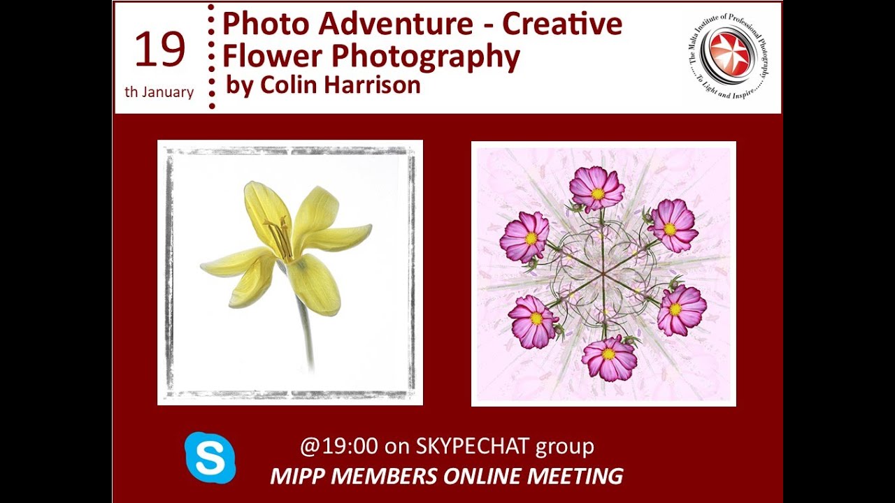 Photo Adventure   Creative Flower Photography