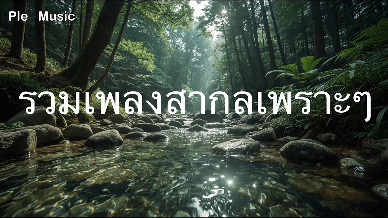 💌เพลงรักหวานละมุน🎀รวมเพลงสากลเพราะๆ✨เมื่อสายตาเราสบกัน