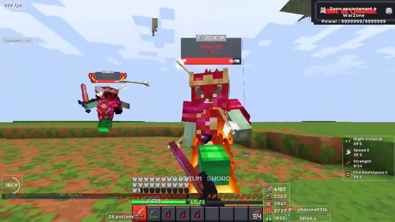 JE PVP SUR PALADIUM !!!!!!