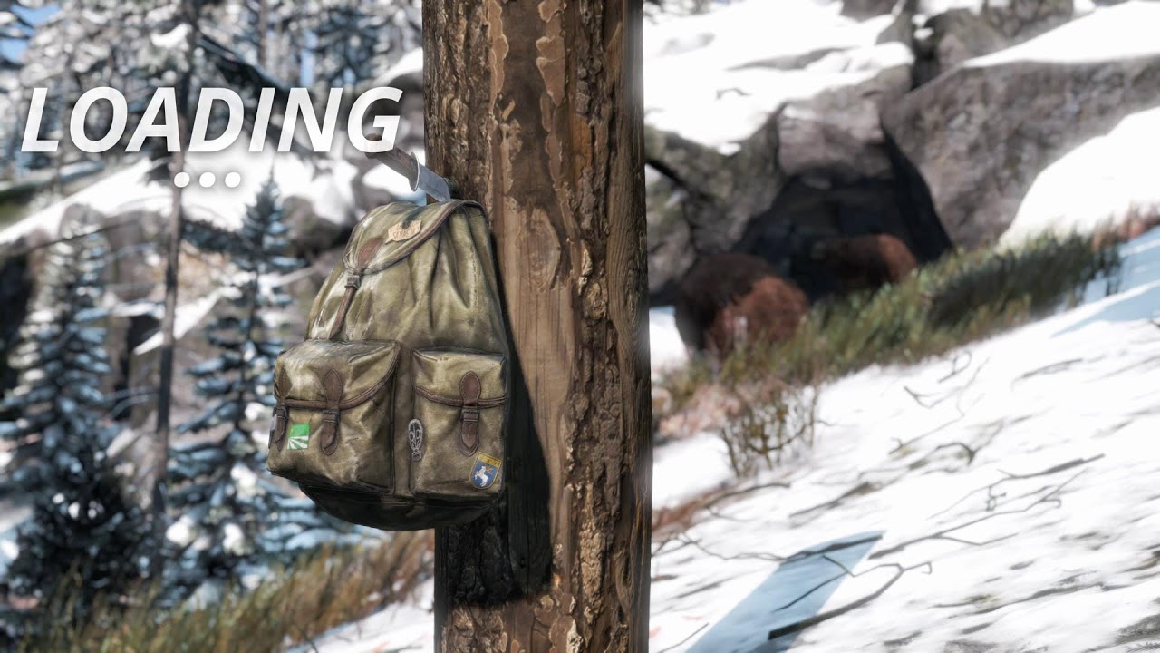 A Solo's Survival !commands - DayZ 1440p