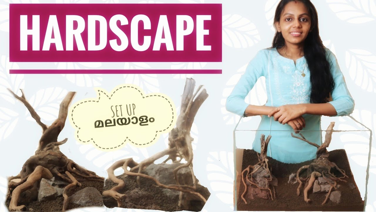Hardscape too Hard to do? watch this!! Malayalam