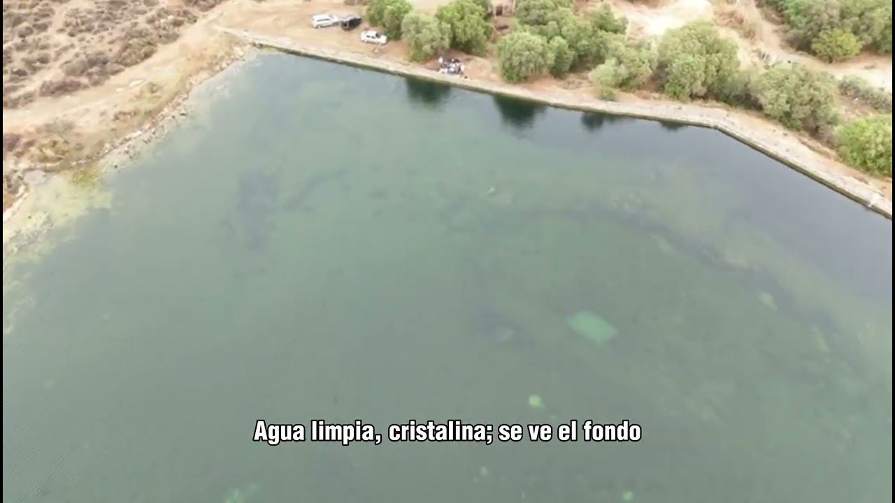 Humedal permanente y estable