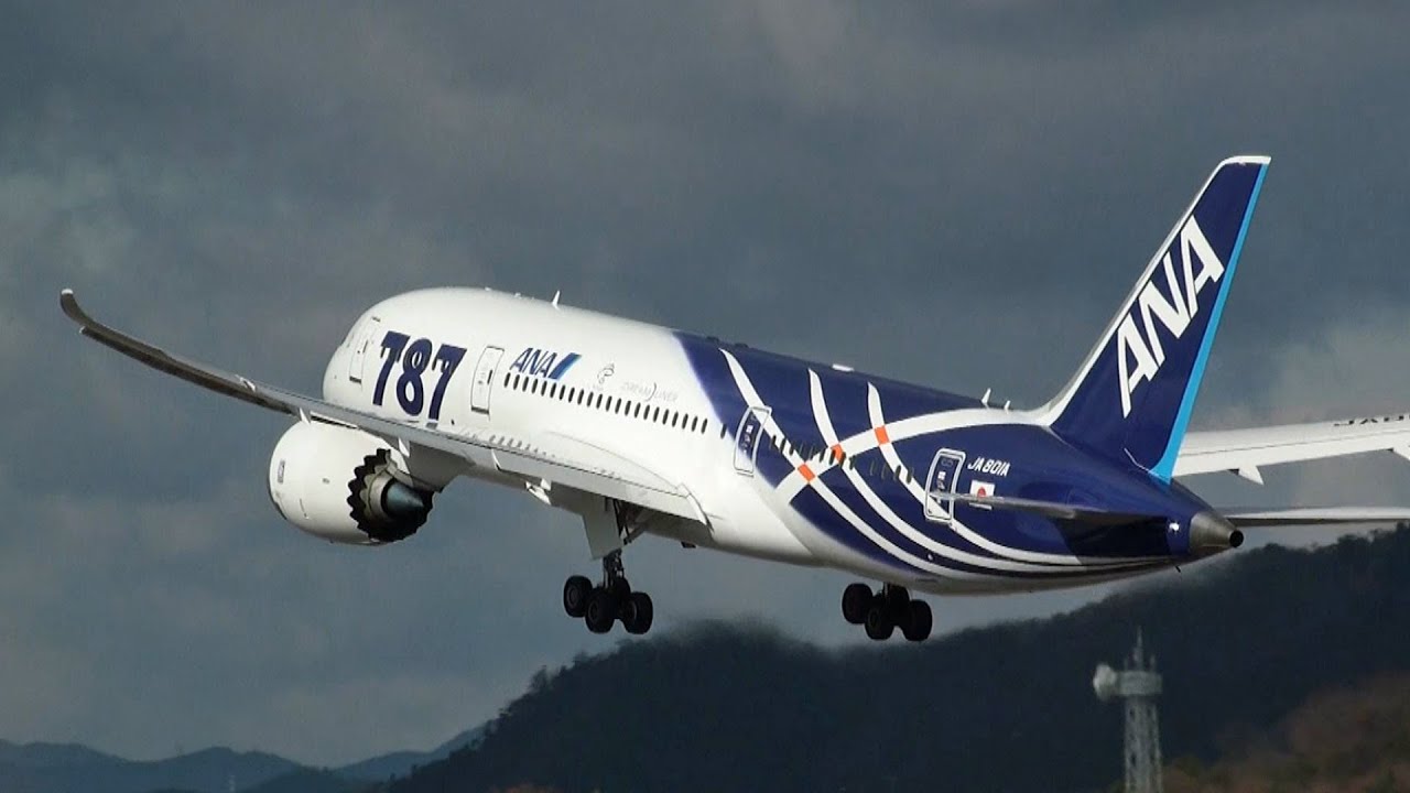 Wings of ANA Group - ANAグループの翼たち - [ANA/全日空 旅客機図鑑]