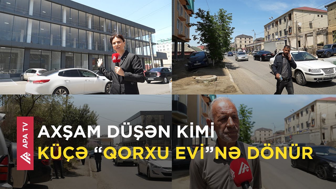 Masazırda ağacları kəsib yerində obyekt tikdilər – APA TV