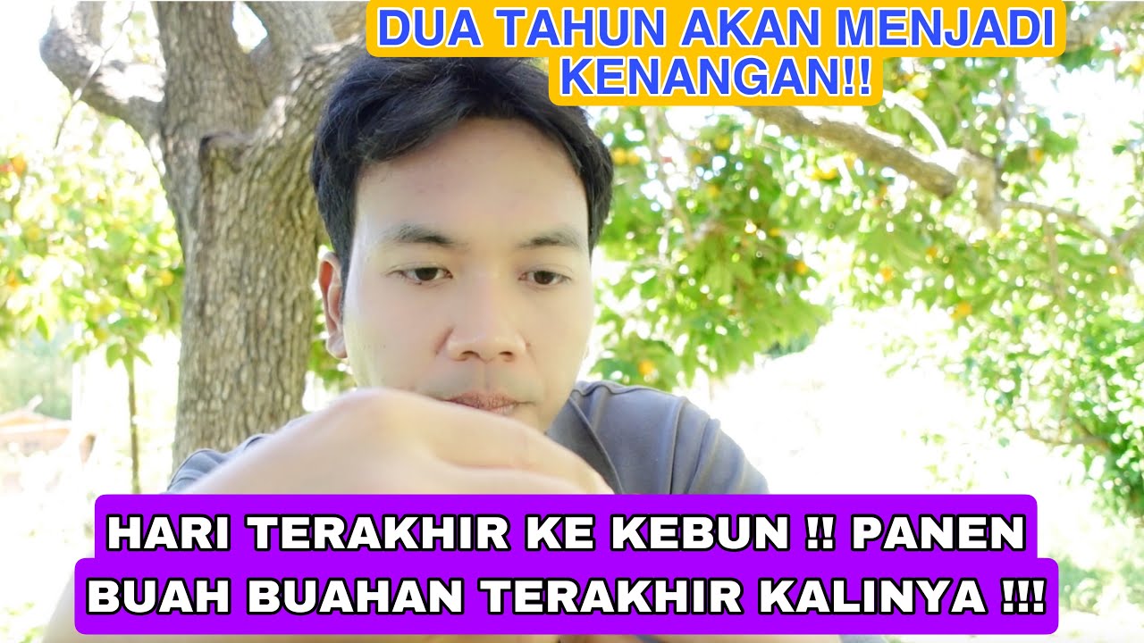 HARI TERAKHIR KE KEBUN !! DUA TAHUN AKAN MENJADI KENANGAN!! PANEN TERAKHIR BUAH BUAHAN !!