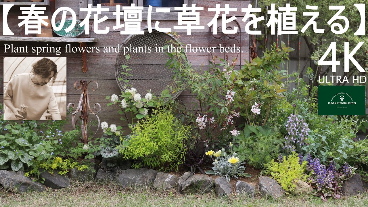 春の花壇に草花を植える／庭作り【春のガーデニング】-フローラ黒田園芸- Spring gardening/ガーデニング/園芸/庭/花壇