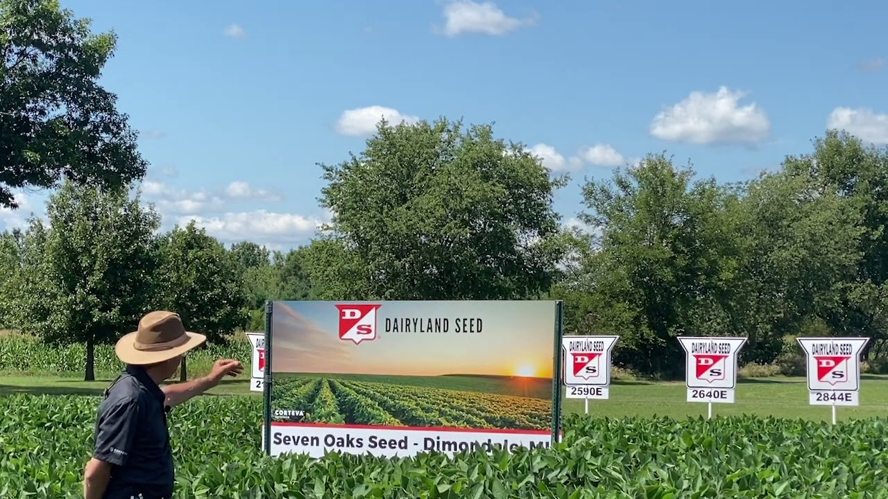 Seven Oaks Seed - Dairyland