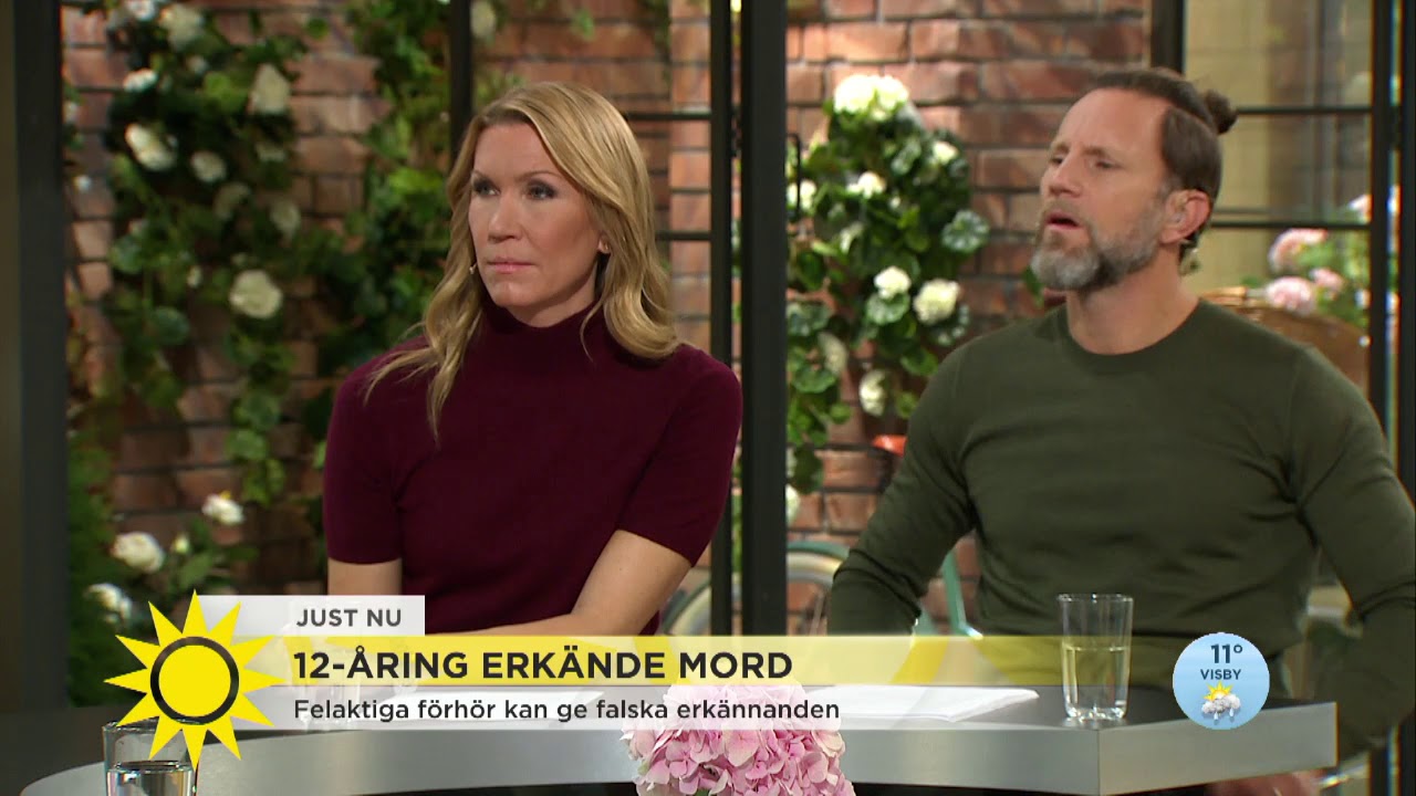 12-&aring;ring erk&auml;nde mord &ndash; nu kritiseras utredningen: 