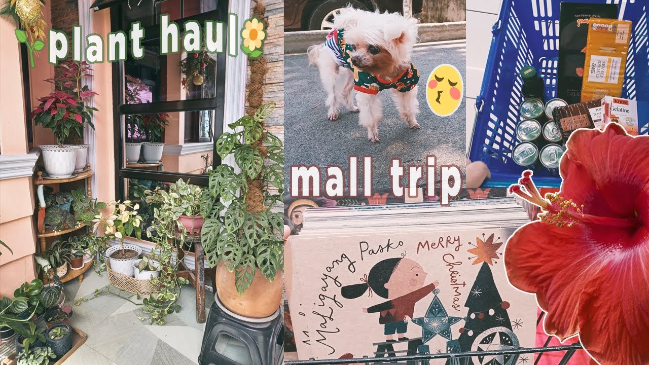 Mall Trip + Plant Haul | Shopping before Christmas! Gardening & Houseplant Corner ✨ (silent vlog)
