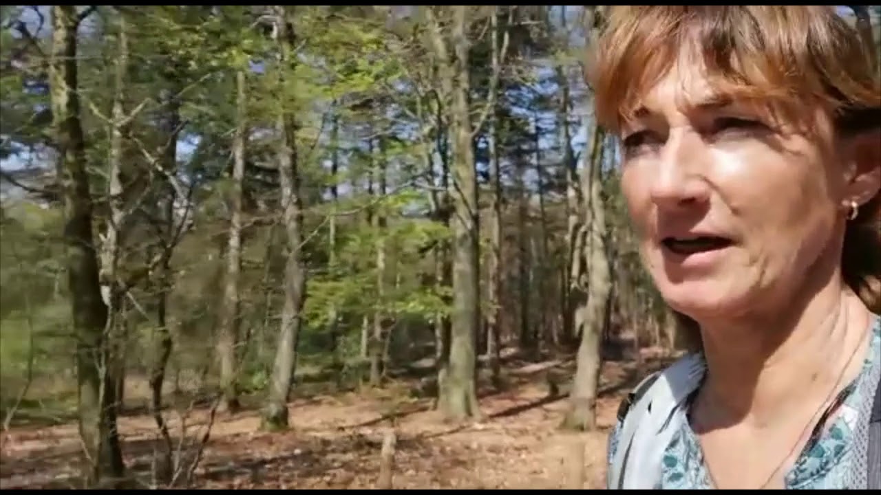 Warme dagen, verdwalen en mooie uitzichten