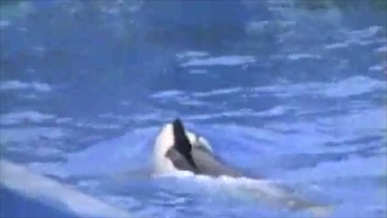 Mallrat - Uninvited